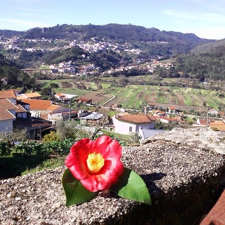 Casinha Da Sobreira Villa Penacova Dış mekan fotoğraf