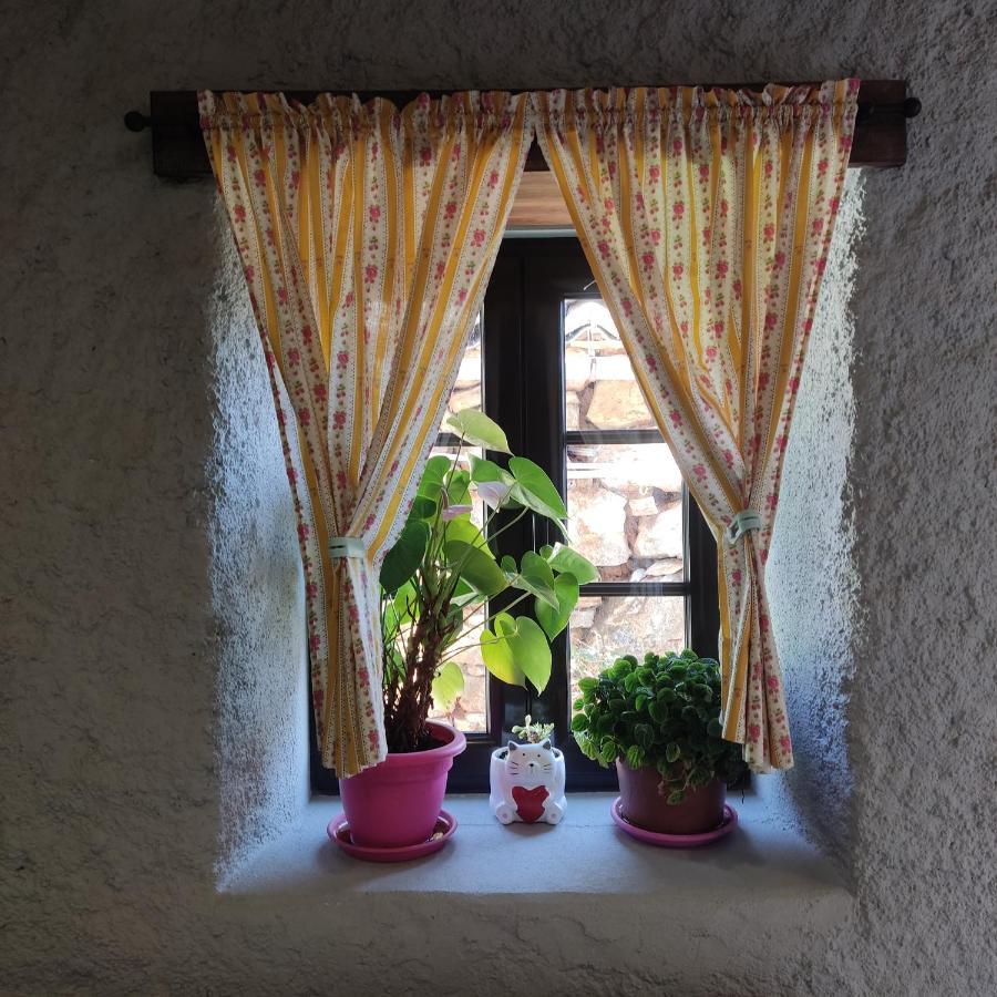 Casinha Da Sobreira Villa Penacova Dış mekan fotoğraf