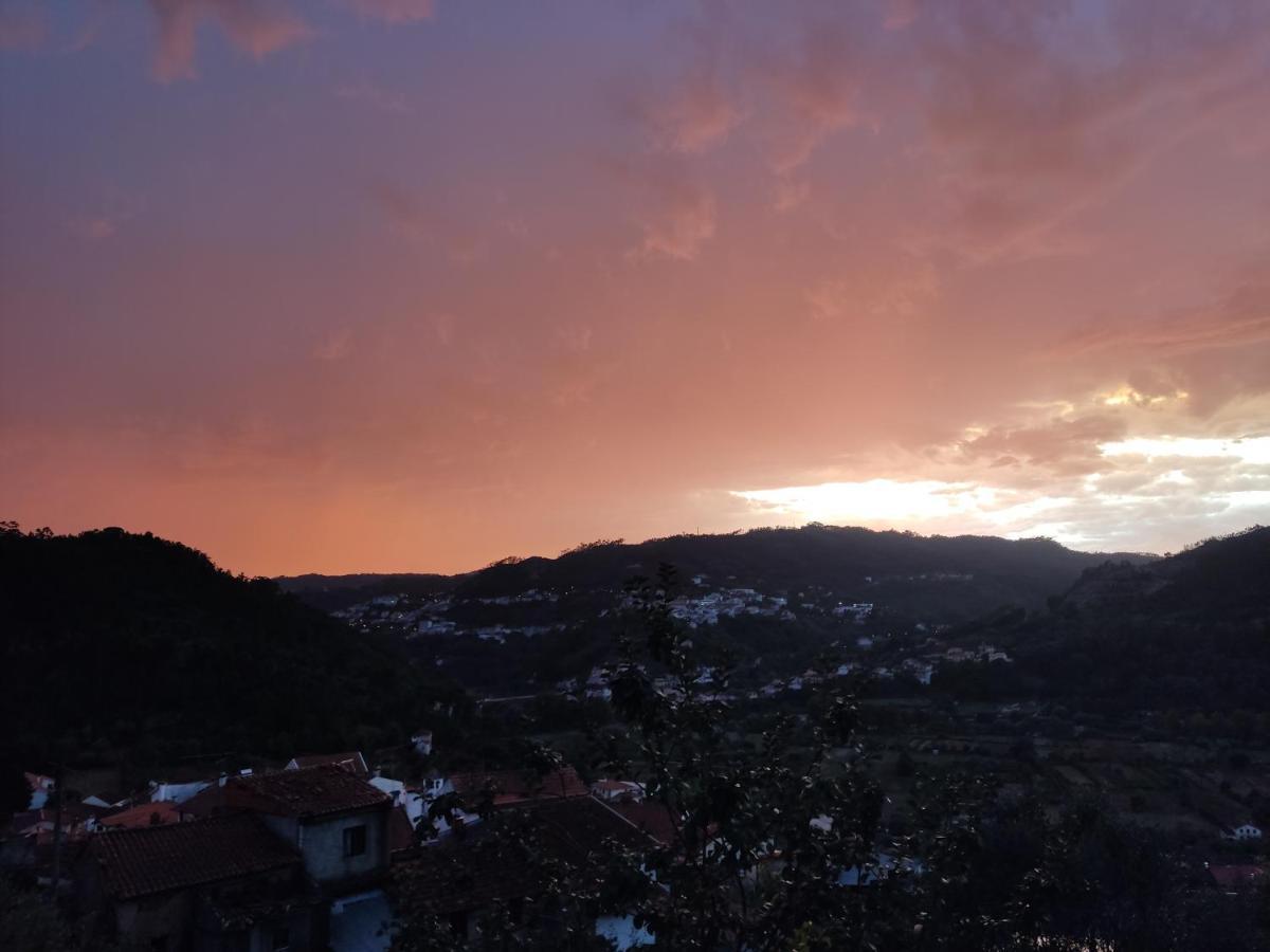 Casinha Da Sobreira Villa Penacova Dış mekan fotoğraf